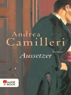 cover image of Aussetzer